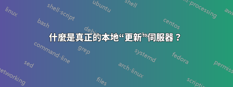 什麼是真正的本地“更新”伺服器？