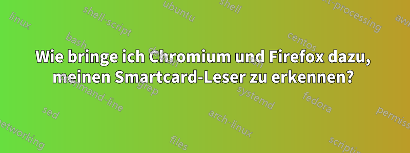 Wie bringe ich Chromium und Firefox dazu, meinen Smartcard-Leser zu erkennen?