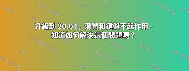 升級到 20.04，滑鼠和鍵盤不起作用 - 知道如何解決這個問題嗎？