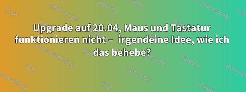 Upgrade auf 20.04, Maus und Tastatur funktionieren nicht – irgendeine Idee, wie ich das behebe?