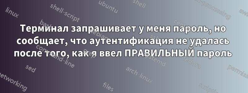 Терминал запрашивает у меня пароль, но сообщает, что аутентификация не удалась после того, как я ввел ПРАВИЛЬНЫЙ пароль