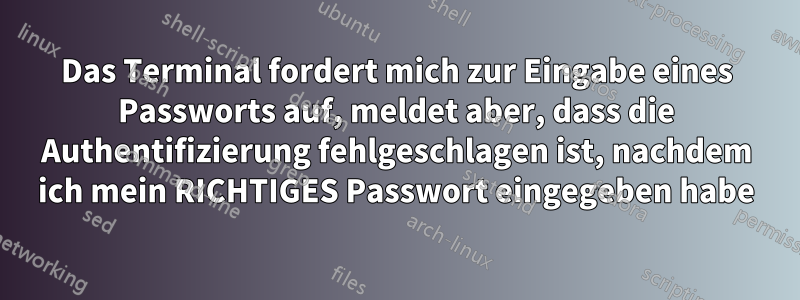 Das Terminal fordert mich zur Eingabe eines Passworts auf, meldet aber, dass die Authentifizierung fehlgeschlagen ist, nachdem ich mein RICHTIGES Passwort eingegeben habe