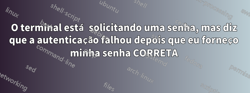 O terminal está solicitando uma senha, mas diz que a autenticação falhou depois que eu forneço minha senha CORRETA