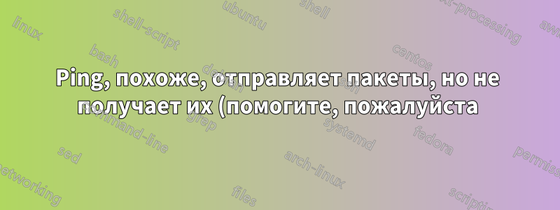 Ping, похоже, отправляет пакеты, но не получает их (помогите, пожалуйста)