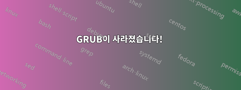 GRUB이 사라졌습니다!