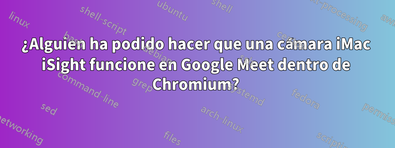 ¿Alguien ha podido hacer que una cámara iMac iSight funcione en Google Meet dentro de Chromium?