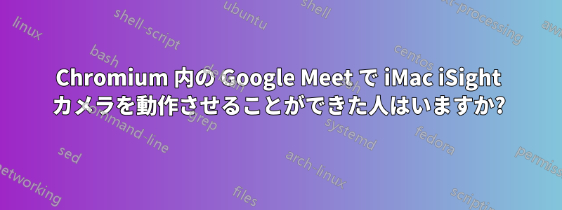 Chromium 内の Google Meet で iMac iSight カメラを動作させることができた人はいますか?