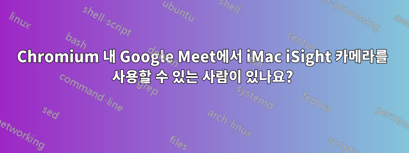 Chromium 내 Google Meet에서 iMac iSight 카메라를 사용할 수 있는 사람이 있나요?