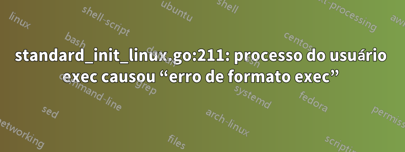 standard_init_linux.go:211: processo do usuário exec causou “erro de formato exec”