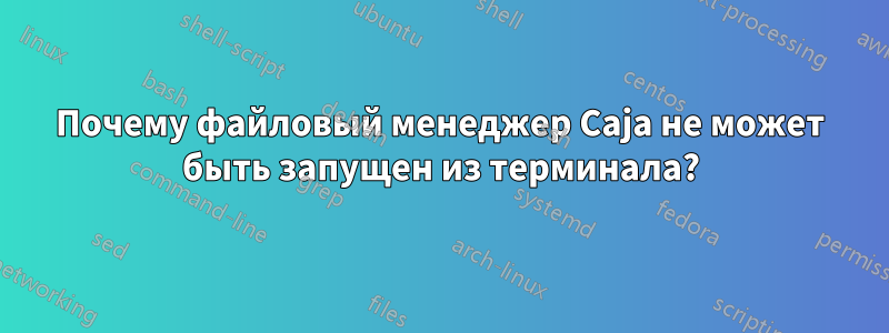 Почему файловый менеджер Caja не может быть запущен из терминала?