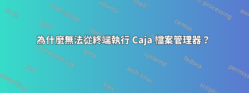 為什麼無法從終端執行 Caja 檔案管理器？