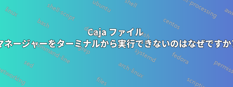 Caja ファイル マネージャーをターミナルから実行できないのはなぜですか?