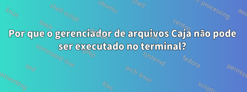 Por que o gerenciador de arquivos Caja não pode ser executado no terminal?