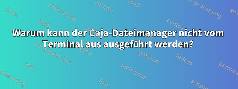 Warum kann der Caja-Dateimanager nicht vom Terminal aus ausgeführt werden?