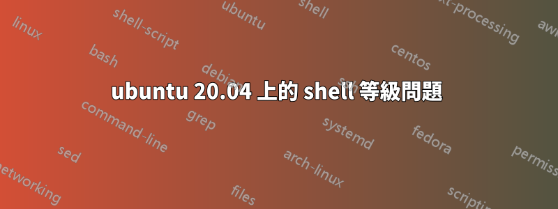 ubuntu 20.04 上的 shell 等級問題