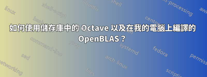 如何使用儲存庫中的 Octave 以及在我的電腦上編譯的 OpenBLAS？