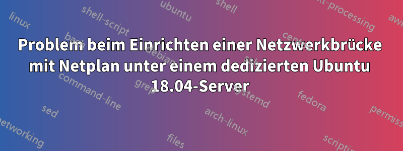 Problem beim Einrichten einer Netzwerkbrücke mit Netplan unter einem dedizierten Ubuntu 18.04-Server