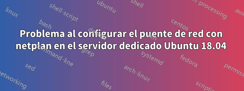 Problema al configurar el puente de red con netplan en el servidor dedicado Ubuntu 18.04