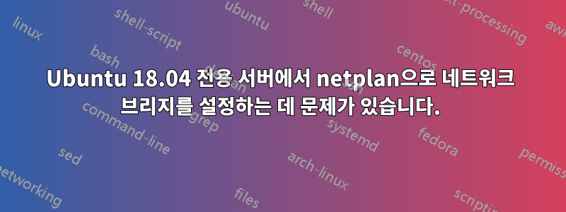 Ubuntu 18.04 전용 서버에서 netplan으로 네트워크 브리지를 설정하는 데 문제가 있습니다.