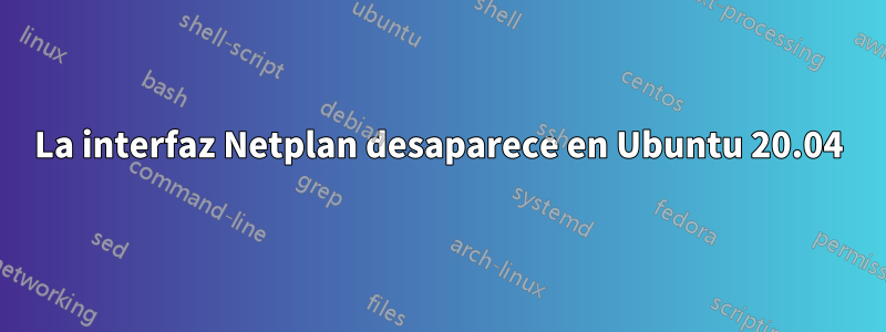 La interfaz Netplan desaparece en Ubuntu 20.04