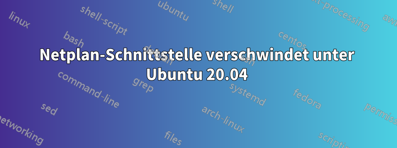 Netplan-Schnittstelle verschwindet unter Ubuntu 20.04