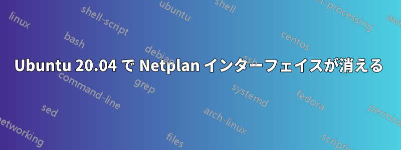 Ubuntu 20.04 で Netplan インターフェイスが消える