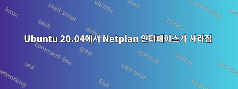 Ubuntu 20.04에서 Netplan 인터페이스가 사라짐