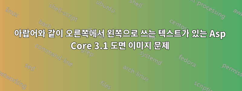 아랍어와 같이 오른쪽에서 왼쪽으로 쓰는 텍스트가 있는 Asp Core 3.1 도면 이미지 문제