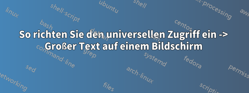 So richten Sie den universellen Zugriff ein -> Großer Text auf einem Bildschirm