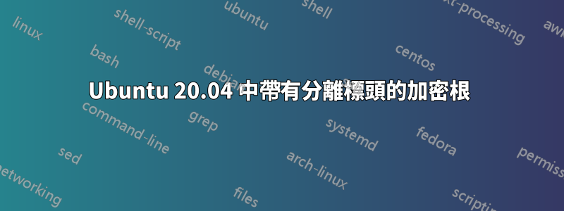 Ubuntu 20.04 中帶有分離標頭的加密根