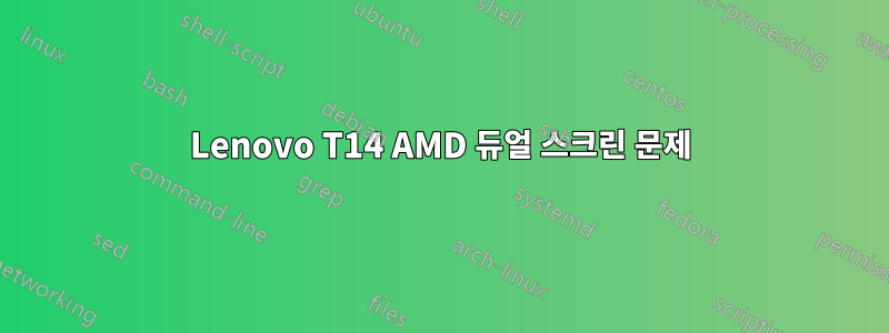 Lenovo T14 AMD 듀얼 스크린 문제