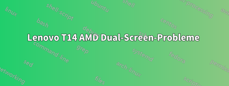 Lenovo T14 AMD Dual-Screen-Probleme