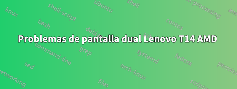 Problemas de pantalla dual Lenovo T14 AMD