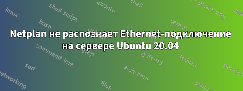 Netplan не распознает Ethernet-подключение на сервере Ubuntu 20.04