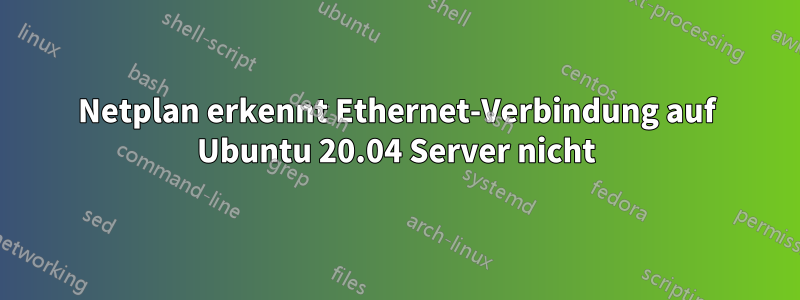 Netplan erkennt Ethernet-Verbindung auf Ubuntu 20.04 Server nicht