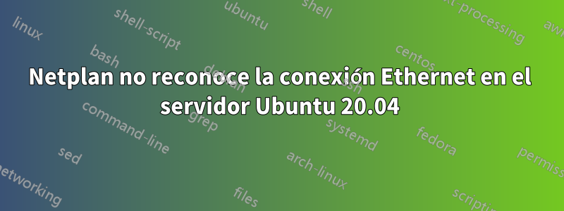 Netplan no reconoce la conexión Ethernet en el servidor Ubuntu 20.04