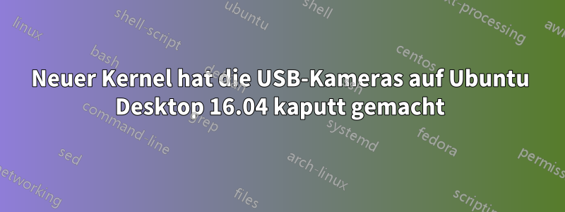 Neuer Kernel hat die USB-Kameras auf Ubuntu Desktop 16.04 kaputt gemacht