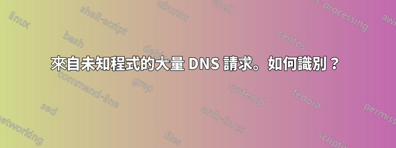 來自未知程式的大量 DNS 請求。如何識別？