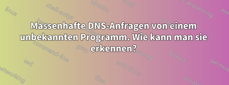 Massenhafte DNS-Anfragen von einem unbekannten Programm. Wie kann man sie erkennen?