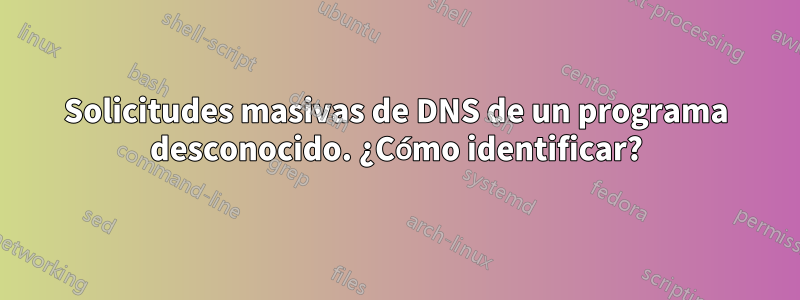 Solicitudes masivas de DNS de un programa desconocido. ¿Cómo identificar?