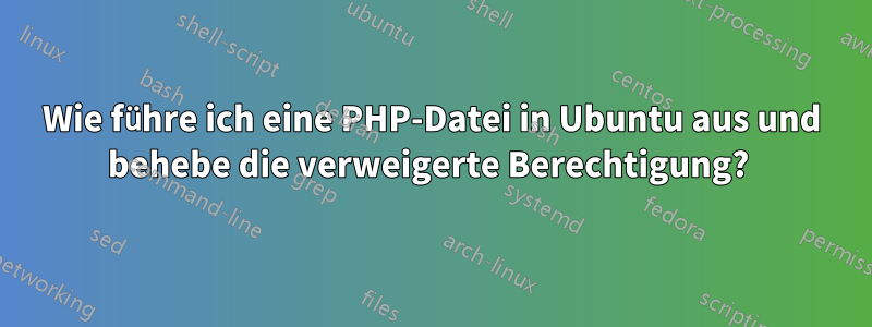 Wie führe ich eine PHP-Datei in Ubuntu aus und behebe die verweigerte Berechtigung? 