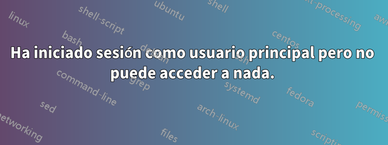 Ha iniciado sesión como usuario principal pero no puede acceder a nada.