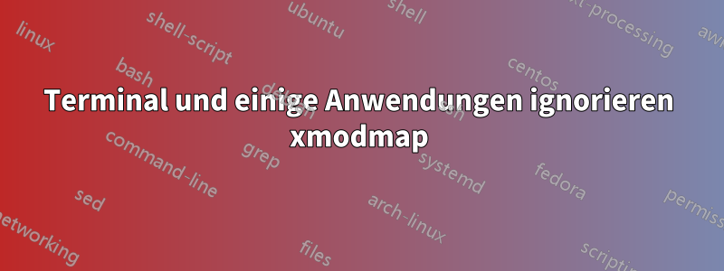 Terminal und einige Anwendungen ignorieren xmodmap