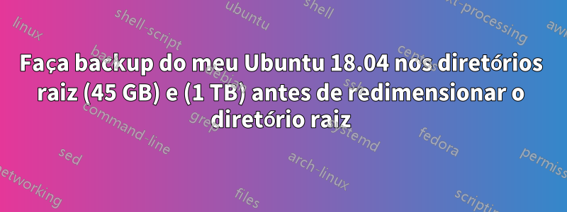 Faça backup do meu Ubuntu 18.04 nos diretórios raiz (45 GB) e (1 TB) antes de redimensionar o diretório raiz