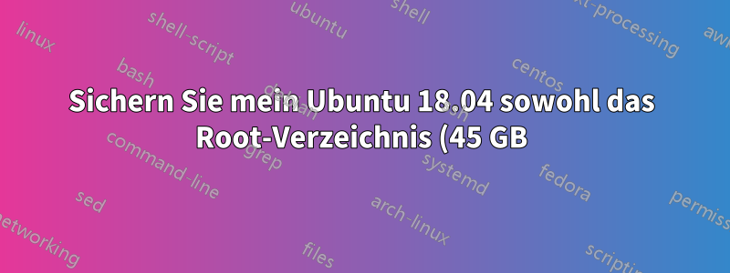 Sichern Sie mein Ubuntu 18.04 sowohl das Root-Verzeichnis (45 GB) als auch das Home-Verzeichnis (1 TB), bevor Sie die Größe des Root-Verzeichnisses ändern