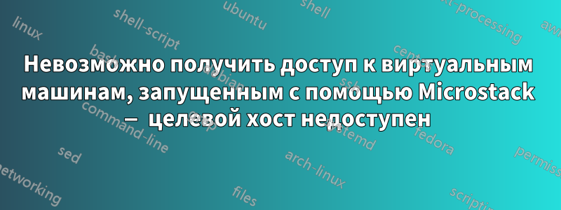 Невозможно получить доступ к виртуальным машинам, запущенным с помощью Microstack — целевой хост недоступен