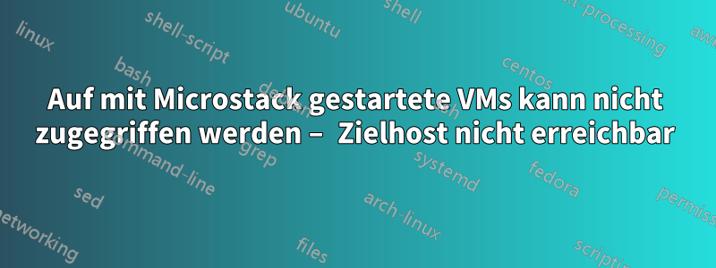 Auf mit Microstack gestartete VMs kann nicht zugegriffen werden – Zielhost nicht erreichbar