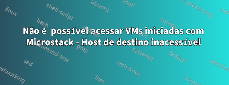 Não é possível acessar VMs iniciadas com Microstack - Host de destino inacessível