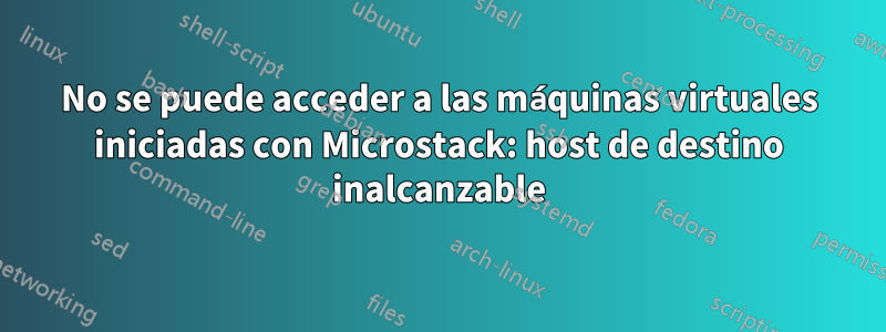 No se puede acceder a las máquinas virtuales iniciadas con Microstack: host de destino inalcanzable