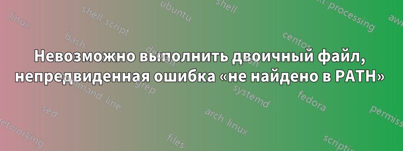 Невозможно выполнить двоичный файл, непредвиденная ошибка «не найдено в PATH»